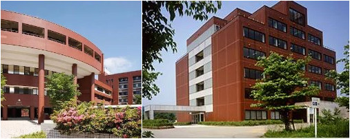 金澤大學(xué)