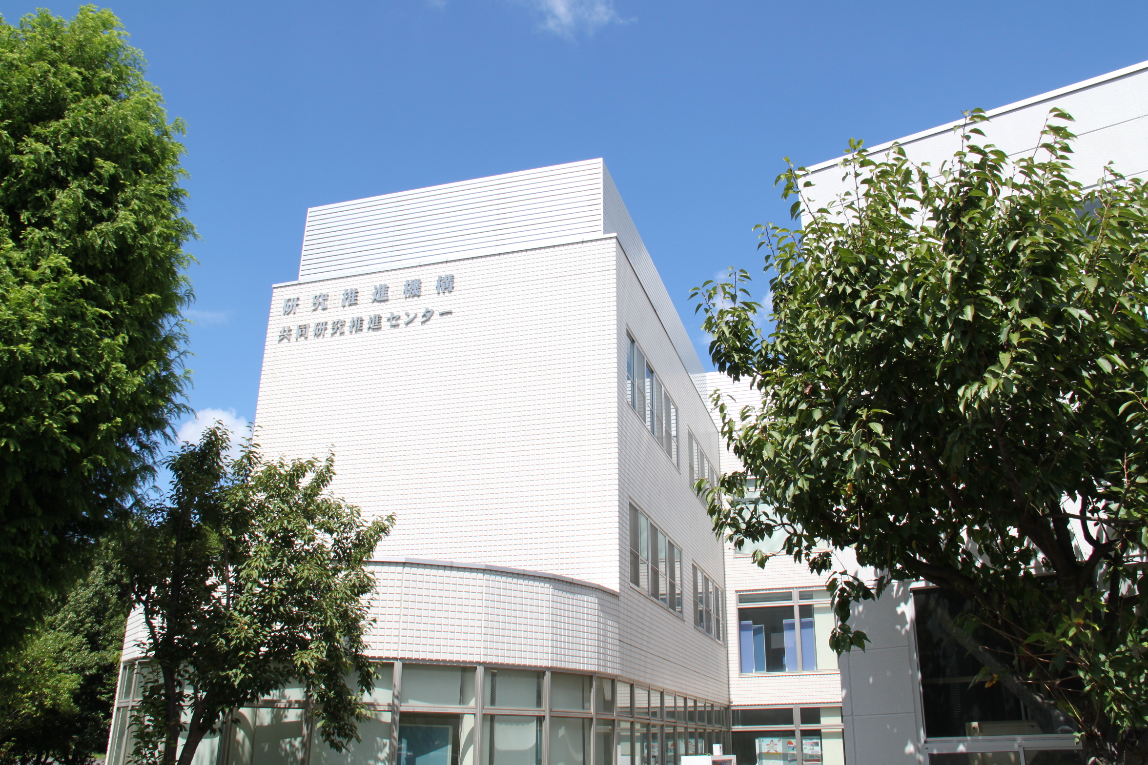 橫濱國(guó)立大學(xué)